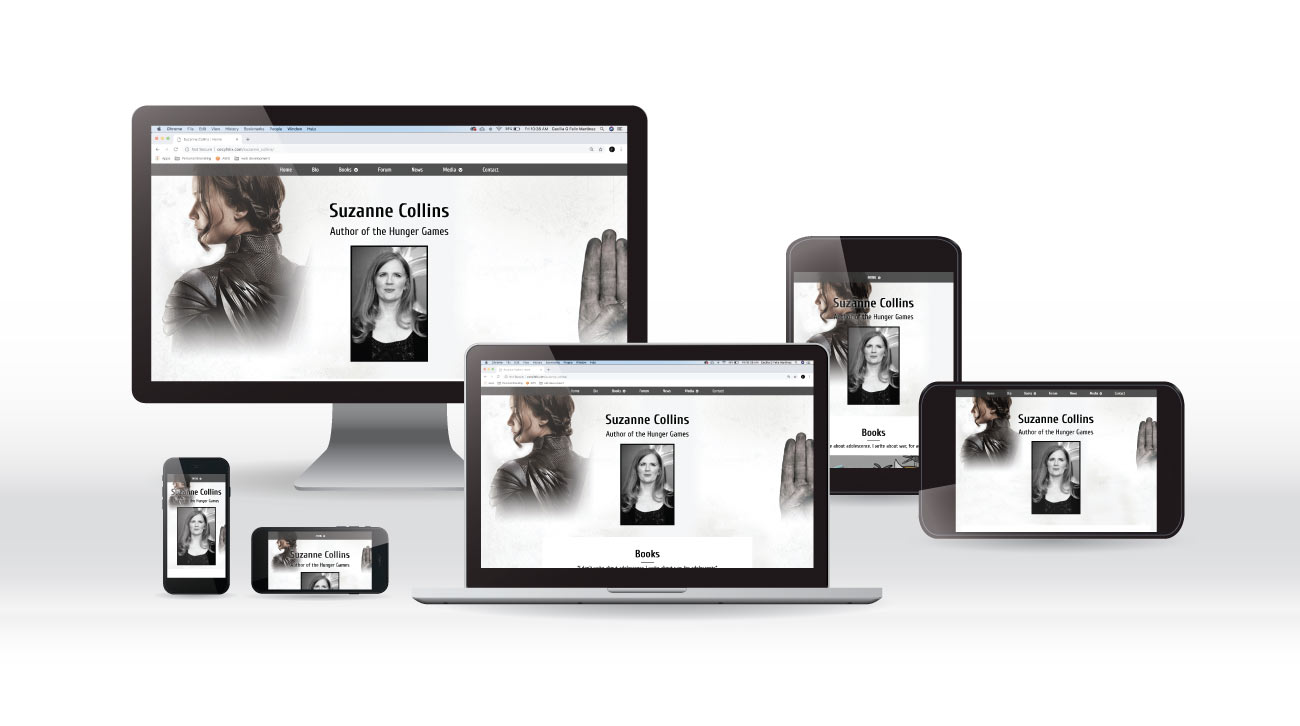 SC responsive website